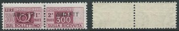 1949-53 TRIESTE A PACCHI POSTALI 300 LIRE MNH ** - G161 - Colis Postaux/concession
