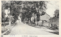 La Crèche (Deux-Sèvres) - L'Allée Des Soupirs - Edition Th. Dupont - Autres Communes