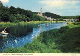 PEEBLES, The Banks Of The River Tweed, 2 Scans - Peeblesshire