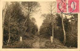 - Nord - Ref A577 - Raismes -  La Foret - Alle Sous Bois - Petit Plan Ramasseuse De Bois - Carte Bon Etat - - Raismes