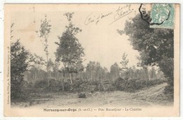 91 - MORSANG-SUR-ORGE - Parc Beauséjour - La Clairière - Thévenet 58 - Morsang Sur Orge