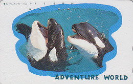 Télécarte Japon / 330-43801 - ANIMAL - BALEINE ORQUE ** Série ADVENTURE WORLD ** - ORCA WHALE  Japan Phonecard - 428 - Delphine