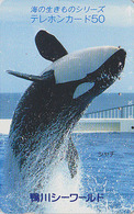 Télécarte Japon / 110-59928 - ANIMAL - BALEINE ORQUE - ORCA WHALE Japan Phonecard - WAL Telefonkarte - 430 - Dolfijnen
