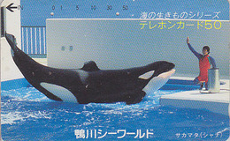 Télécarte Japon / 110-24548 - ANIMAL - BALEINE ORQUE / Dressage - ORCA WHALE Japan Phonecard - 441 - Delfini