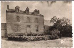 C P Saint - Lyphard ( La Cure Ou Presbytère ) - Saint-Lyphard