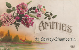 21 // Amitiés De GEVREY CHAMBERTIN    REX 1220 - Gevrey Chambertin