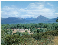 (200) Australia - SA - Inside The Pound - Flinders Ranges