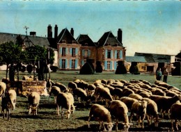 45-ARTENAY...CHATEAU FERME,ECOLE D'AUVILLIERS...CPSM GRAND FORMAT - Artenay