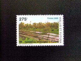 WALLIS Y FUTUNA WALLIS Et FUTUNA 2000 TARODIÈRES AMÉNAGÉES À FUTUNA Yvert & Tellier Nº 539 ** MNH - Ongebruikt