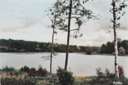 CPSM SAINT SAUVEUR EN PUYSAYE ETANG DE MOUTIERS - Saint Sauveur En Puisaye