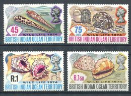 158 Territoire Britannique OCEAN INDIEN 1974 - Coquillage (Yvert 59/62) Neuf ** (MNH) Sans Charniere - Territorio Británico Del Océano Índico