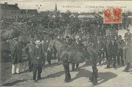 Baugy Le Champ De Foire. Examen D'un Cheval 1914 - Baugy