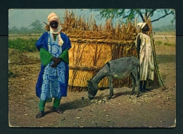 NIGERIA  -  Northern Nigeria  Unused Postcard - Nigeria