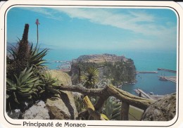 Delcampe - NONACO---du Jardin Exotique Le Rocher---voir 2 Scans - Exotischer Garten