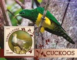 SIERRA LEONE 2016 ** Cuckoos Kuckucke Coucous S/S - OFFICIAL ISSUE - A1613 - Coucous, Touracos