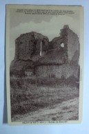 D 37 - Neuvy Le Roi - Ruines De Beauvais - Neuvy-le-Roi