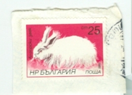 Bulgarien 1986 Mi. 3448 A Angora - Kaninchen TGST - Covers & Documents