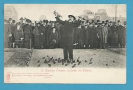 CPA PARIS PITTORESQUE La Charmeur D'Oiseaux Au Jardin Des Tuileries Edition KUNZLI - Parken, Tuinen