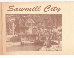 SAWMILL City Laper Road Smiths Creek Michigan Etats Unis - Carte Terrain Golf Point Hole Trou  Moulin - Estados Unidos