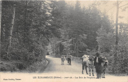 Les Echarmeaux Poule Canton Lamure Bois De Propières - Altri Comuni