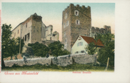 CH MAIENFELD / Gruss Aus Maienfeld, Schloss Brandis / CARTE COULEUR - Maienfeld