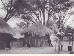 RHODESIA -ZIMBABWE -F/G B/Nero  (80312) - Simbabwe