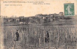 33-SAINT EMILLION -UN COIN DES GRANDS VIGNOBLES -COTEAU DE PARVIE- VUE D HIVER - Saint-Emilion