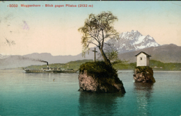 CH MEGGEN / Meggenhorn, Blick Gegen Pilatus / - Meggen