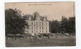 Avr16   8674254 Vouneuil   Chateau De Savigny - Vouneuil Sur Vienne