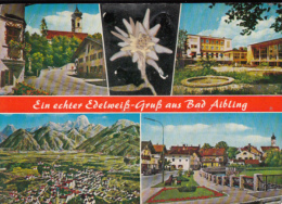 40670- BAD AIBLING- SPA TOWN, HOTEL, GUEST HOUSES, PANORAMA, REAL EDELWEISS FLOWER - Bad Aibling