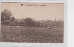 52 - PRAUTHOY / VUE GENERALE - VACHES AU PATURAGE - Prauthoy