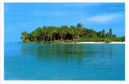 Asie - Maldives Coconut Palms Set In Cool Aquamarine - Maldiven