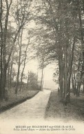 Mours (95.Val D´Oise)  Allée Du Chemin De La Croix - Villa Saint-Régis - Mours