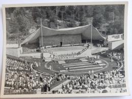 VIGNETTE JEUX OLYMPIQUES J.O BERLIN OLYMPIA 1936 PET CREMER DUSSELDORF BILD 44 - Tarjetas