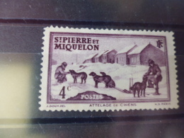 SAINT PIERRE ET MIQUELON REFERENCE YVERT N° (169) - Nuevos