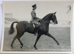 VIGNETTE JEUX OLYMPIQUES J.O BERLIN OLYMPIA 1936 PET CREMER DUSSELDORF BILD 67 EQUITATION OFFICIER ALLEMAND - Trading Cards