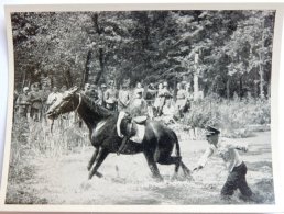 VIGNETTE JEUX OLYMPIQUES J.O BERLIN OLYMPIA 1936 PET CREMER DUSSELDORF BILD 68 WANGENHEIM EQUITATION OFFICIER ALLEMAND - Trading-Karten