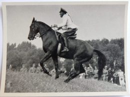 VIGNETTE JEUX OLYMPIQUES J.O BERLIN OLYMPIA 1936 PET CREMER DUSSELDORF BILD 69 STUBBENDORF EQUITATION OFFICIER ALLEMAND - Trading Cards