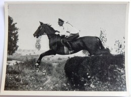 VIGNETTE JEUX OLYMPIQUES J.O BERLIN OLYMPIA 1936 PET CREMER DUSSELDORF BILD 70 EQUITATION OFFICIER ALLEMAND - Tarjetas