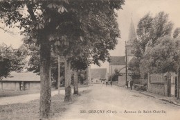 18 - GRACAY - Avenue De Saint Outrille - Graçay