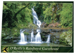 (888) Australia - QLD - Rainforest Waterfall - Atherton Tablelands