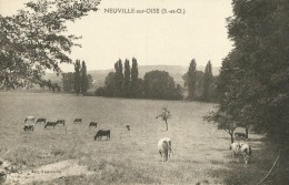 Neuville-sur-Oise (95.Val D´Oise)  Pâturage - Neuville-sur-Oise
