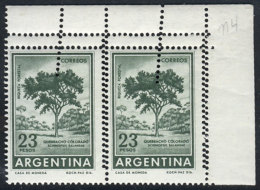 GJ.1311B, 23$ Quebracho Tree, On National Chalky Paper, Corner Pair With Double Perforation Due To Variety (salto... - Sonstige & Ohne Zuordnung