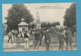 CPA 127 - Métier Maquignon Le Marché Aux Petits Porcs  BAYEUX 14 - Bayeux