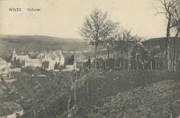 CP Wiltz - Vue De La Bellevue - 1924 - Wiltz