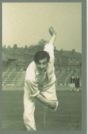 Nostalgia Postcard Modern -freddie Trueman 1953 - Cricket