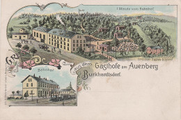 Litho AK Burkhardtsdorf Gasthof Am Auenberg Bahnhof Bei Chemnitz Klaffenbach Jahnsdorf Einsiedel Gornau Thalheim Kemtau - Burkhardtsdorf