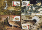 (WWF-299) Maxi Maximum Cards / Maxicard W.W.F. Palestine Bird 2001 - Cartoline Maximum