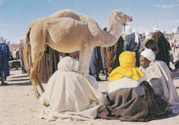 Tunesie Tunisia Tunisie South Camel Market Kameel Marche Auc Chameaux Kamel Kamelmarkt Tunisien - Tunisia