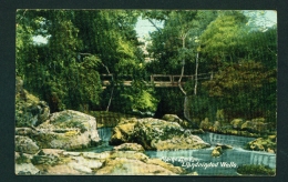 WALES  -  Llandrindod Wells  Alpine Bridge  Used Vintage Postcard As Scans - Radnorshire